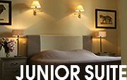 Junior-suite Room